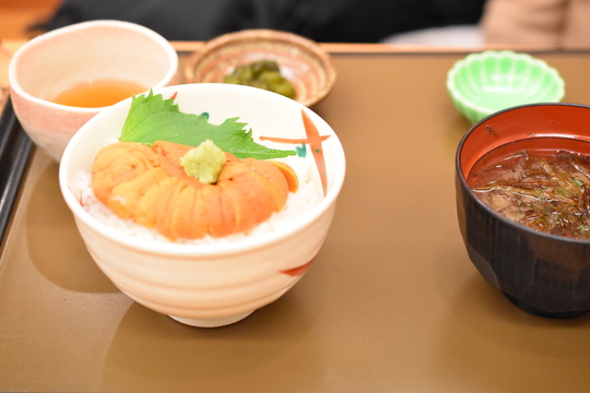 うにむらかみ 函館市民ユキちゃんが教える おすすめ函館旅行
